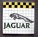Jaguar Custom Thumbnail